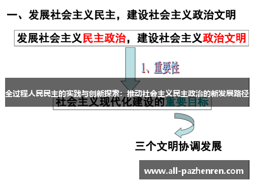 全过程人民民主的实践与创新探索：推动社会主义民主政治的新发展路径