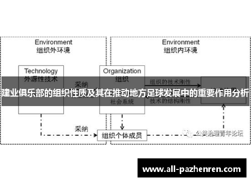 建业俱乐部的组织性质及其在推动地方足球发展中的重要作用分析
