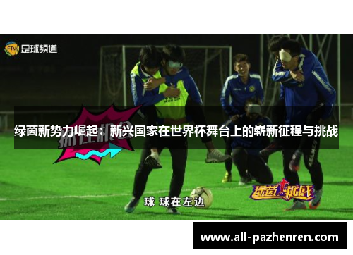 绿茵新势力崛起：新兴国家在世界杯舞台上的崭新征程与挑战