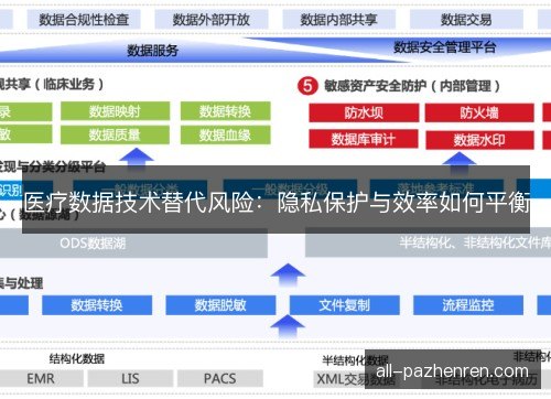 医疗数据技术替代风险:隐私保护与效率如何平衡 医疗数据技术替代风险:隐私保护与效率如何平衡
